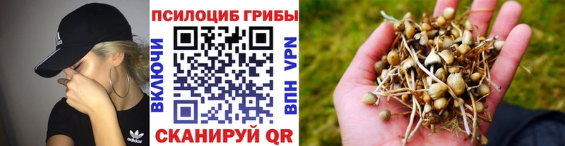 kraken рабочий сайт  купить закладку  Сковородино  Галлюциногенные грибы мухоморы 
